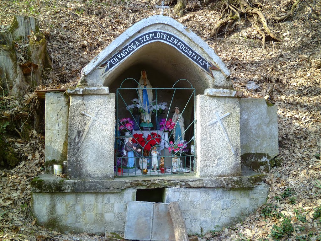 Medvekút
