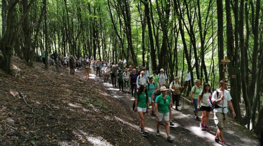 Mária Út Európai Hálózatának Szövetsége alakult Mária Út Európai Hálózatának Szövetsége alakult